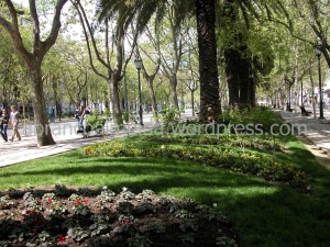 Esplanadas na Avenida da Liberdade? Para o ano...