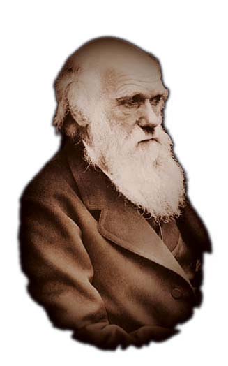 NEWSLETTER de Fevereiro da FUNDAÇÃO GULBENKIAN, publicada na minha página do Issuu